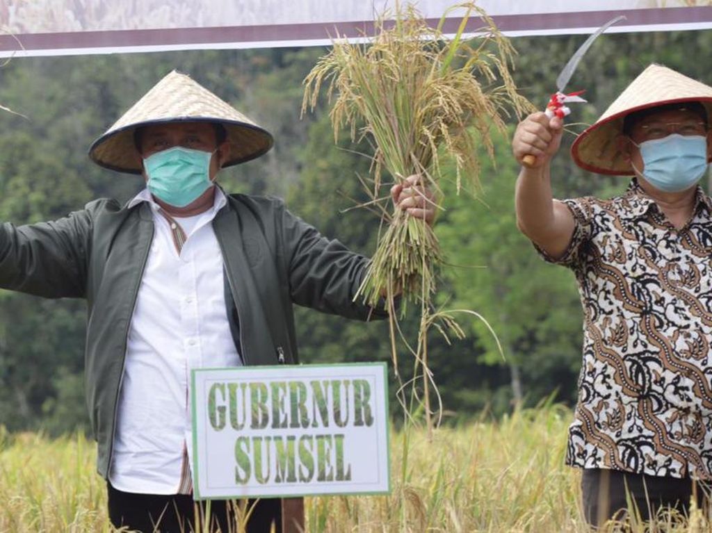 Gubernur Sumsel Siapkan OKU sebagai Pendukung Lumbung Pangan Nasional Gubernur Sumsel Siapkan OKU sebagai Pendukung Lumbung Pangan Nasional
