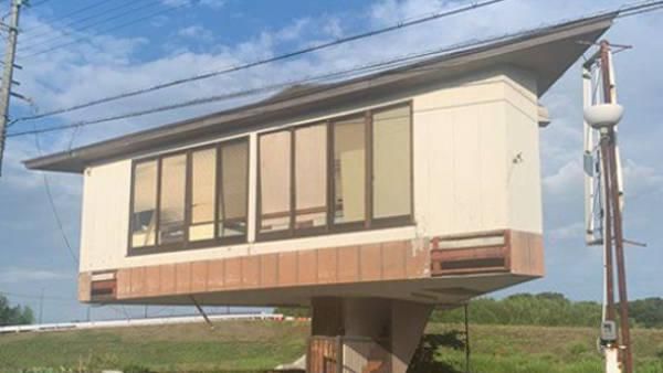 Potret Rumah Jamur Viral Bikin Melongo, Dibangun di Atas Tangga Kecil Sempit