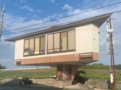 Potret Rumah Jamur Viral Bikin Melongo, Dibangun di Atas Tangga Kecil Sempit