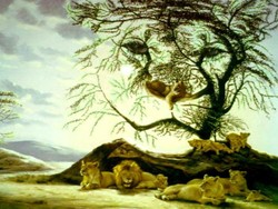 Tes Kepribadian: Ada Berapa Banyak Singa yang Kamu Lihat Dalam Gambar?