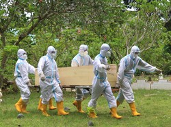 RI Tertinggi di Atas Filipina, Ini 10 Besar Jumlah Kasus COVID-19 di Asia Tenggara