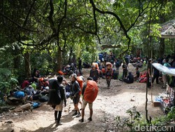 Sempat Ramai Pendaki, Ini Isi Surat Penutupan Gunung Gede Pangrango