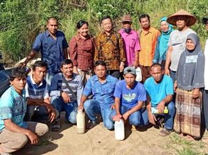 Petani di Tapanuli Selatan Belajar Cara Atasi OPT Kopi Secara Organik