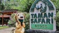 Potret Wisata New Normal di Taman Safari