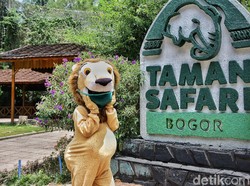 Aturan Memberi Makan Satwa-satwa di Taman Safari Bogor