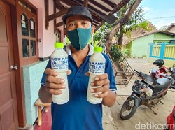 Tingkatkan Imun, Susu Kambing di Kudus Laris Manis Diserbu Pembeli