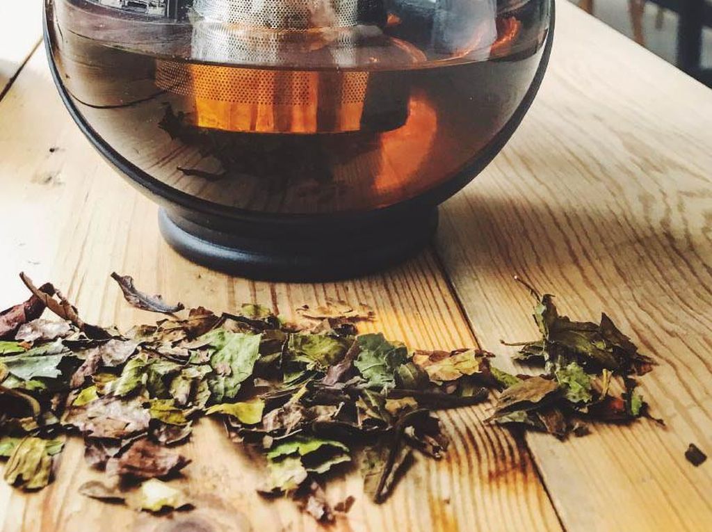 Populer Sebagai Minuman Tradisional, Ini 5 Fakta Teh Daun Kopi yang Kaya Khasiat Populer Sebagai Minuman Tradisional, Ini 5 Fakta Teh Daun Kopi yang Kaya Khasiat