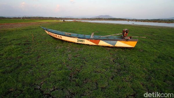 Foto Waduk Gajah Mungkur Mengering di Musim Kemarau