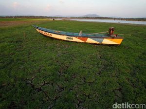 Foto Waduk Gajah Mungkur Mengering di Musim Kemarau Foto Waduk Gajah Mungkur Mengering di Musim Kemarau
