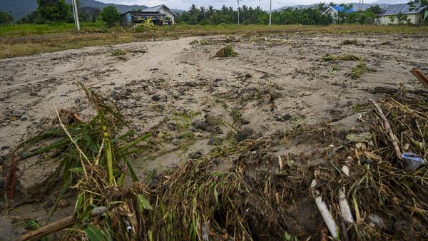 Banjir di Sigi Rusak Rumah dan Lahan Perkebunan