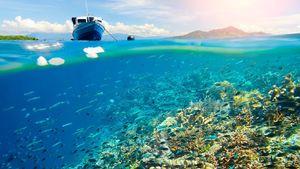 Potret Betapa Rindunya dengan Keindahan Bawah Laut Bunaken