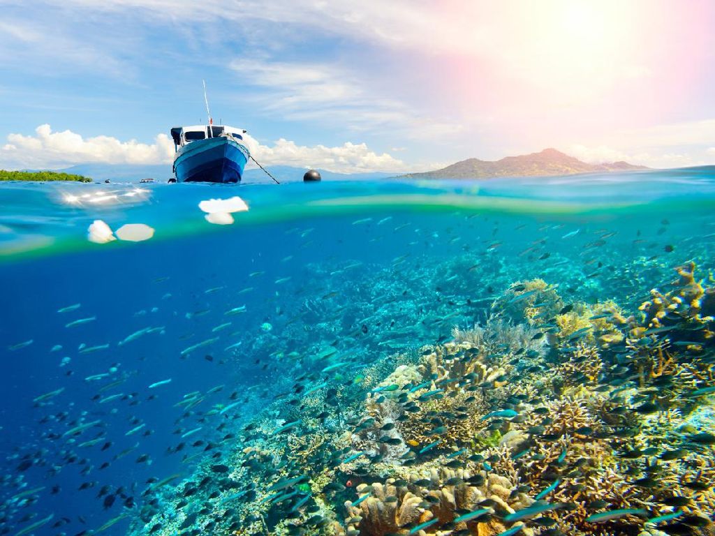 Unesco Akui 3 Cagar Biosfer Indonesia, Mana Saja? Unesco Akui 3 Cagar Biosfer Indonesia, Mana Saja?