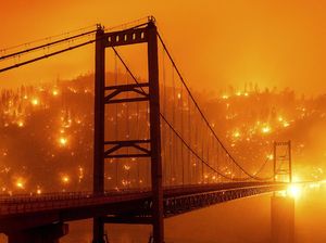 16 Orang Tewas dan 500 Ribu Dievakuasi Akibat Kebakaran Hutan di California