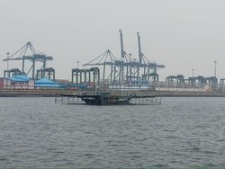 Begini Kronologi Tawuran di Laut Jakarta Utara yang Viral di Medsos