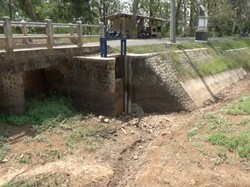 Situ Kering, Ratusan Hektare Sawah di Purwakarta Terancam Kekeringan!