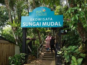 Foto: Yang Sejuk-sejuk di Yogya, Ini Tempatnya Foto: Yang Sejuk-sejuk di Yogya, Ini Tempatnya