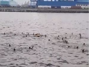Video Heboh Aksi Tawuran Sekelompok Pemuda di Perairan Cilincing