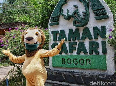 Berlibur di Taman Safari Bogor Saat Era New Normal