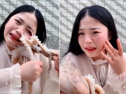 Hii Ngeri! Kepiting hingga Belut Kabur Saat Akan Dimasak