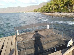 Inkoppas Siap Bantu Kembangkan Potensi Perikanan di Lembata