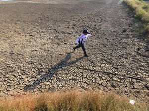 17 Juni: Hari Penanggulangan Degradasi Lahan dan Kekeringan, Apa Pentingnya?