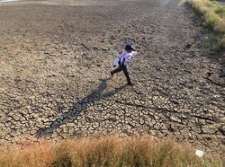 Hari Penanggulangan Lahan dan Kekeringan Sedunia: Sejarah-Tema Peringatan