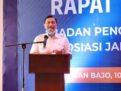 Ditunjuk Jokowi Tangani COVID-19, Luhut: Saya Hanya Manajer