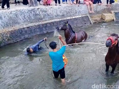 Ritual Memandikan Kuda Tiap Jumat Kliwon di Sungai Surakatiga
