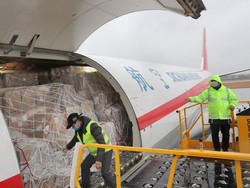 Pengiriman Vaksin Corona Perlu 8.000 Pesawat Jumbo dengan Presisi Ala Militer