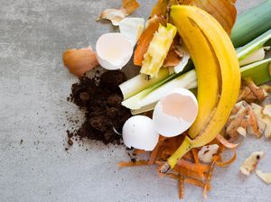 Olah Sampah Jadi Makanan hingga Pupuk, Ini Manfaat yang Bisa Kamu Rasakan