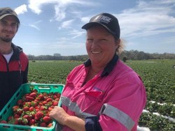Agar Harga Makanan Tak Naik, Warga Australia Diserukan Bekerja di Perkebunan