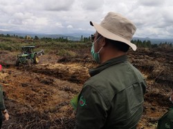 Kaitan Food Estate Jokowi dan Proyek Pangan era Soeharto