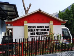 6 Pegawai Dinas Peternakan Kab Blitar Positif COVID-19, Kantor Ditutup Sepekan