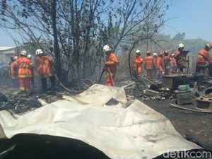 244 Kebakaran Lahan Terjadi di Surabaya, Warga Diminta Tak Bakar Sampah! 244 Kebakaran Lahan Terjadi di Surabaya, Warga Diminta Tak Bakar Sampah!