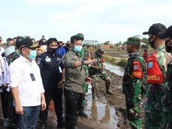 Mentan Cek Lumbung Pangan Kalteng Jelang Tanam Perdana