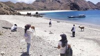 Pemandu Wisata Ilegal di Labuan Bajo Wajib Ditertibkan! Banyak Bikin Ulah