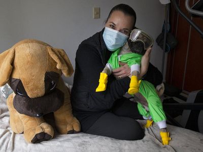 Anjing Ini Bantu Tim Medis di Meksiko Atasi Stres Gegara Corona