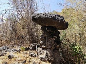 Larangan Berlayar Kapal ke Pulau Komodo, Wisata Darat Labuan Bajo Jadi Alternatif