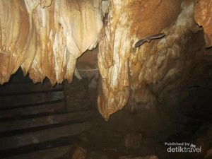 Takjub! Lihat Ratusan Kelelawar dan Bentuk Unik Gua Gudawang