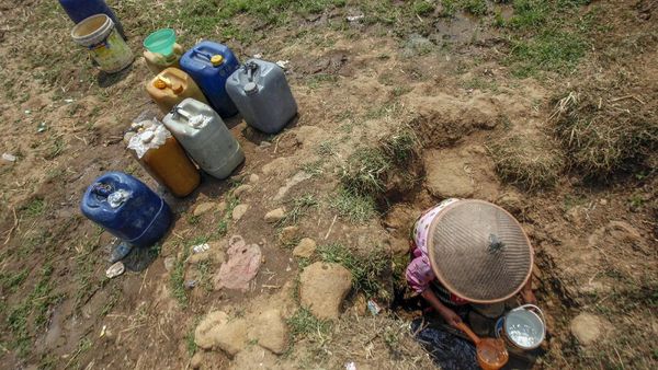Puluhan Desa di Kabupaten Bogor Terdampak Kekeringan