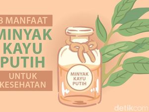 8 Manfaat Minyak Kayu Putih 8 Manfaat Minyak Kayu Putih