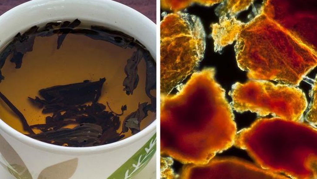 Benda Sehari-hari Dilihat Pakai Mikroskop, Mengejutkan! Benda Sehari-hari Dilihat Pakai Mikroskop, Mengejutkan!