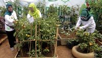 Geliat Pertanian Perkotaan