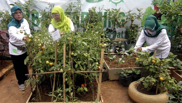 Geliat Pertanian Perkotaan