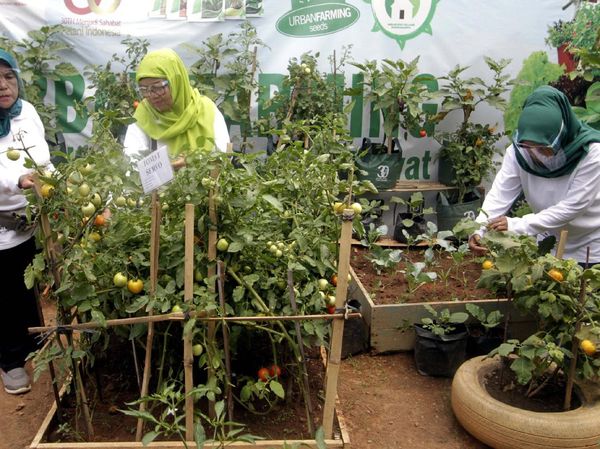 Geliat Pertanian Perkotaan