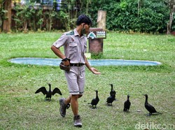 Celebrity on Vacation: Serunya Kasih Makan Burung-burung di Baby Zoo