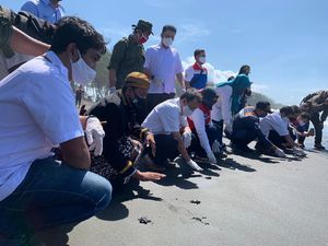 Pertamina Lepasliarkan Anak Penyu Hasil Konservasi di Pantai Sodong
