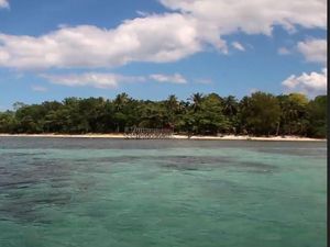 Pulau Bakki, Surga Bahari dan Ragam Tanaman Mangrove di Sulawesi