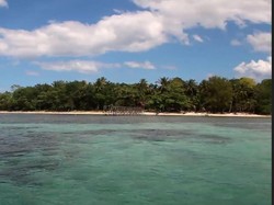 Pulau Bakki, Surga Bahari dan Ragam Tanaman Mangrove di Sulawesi