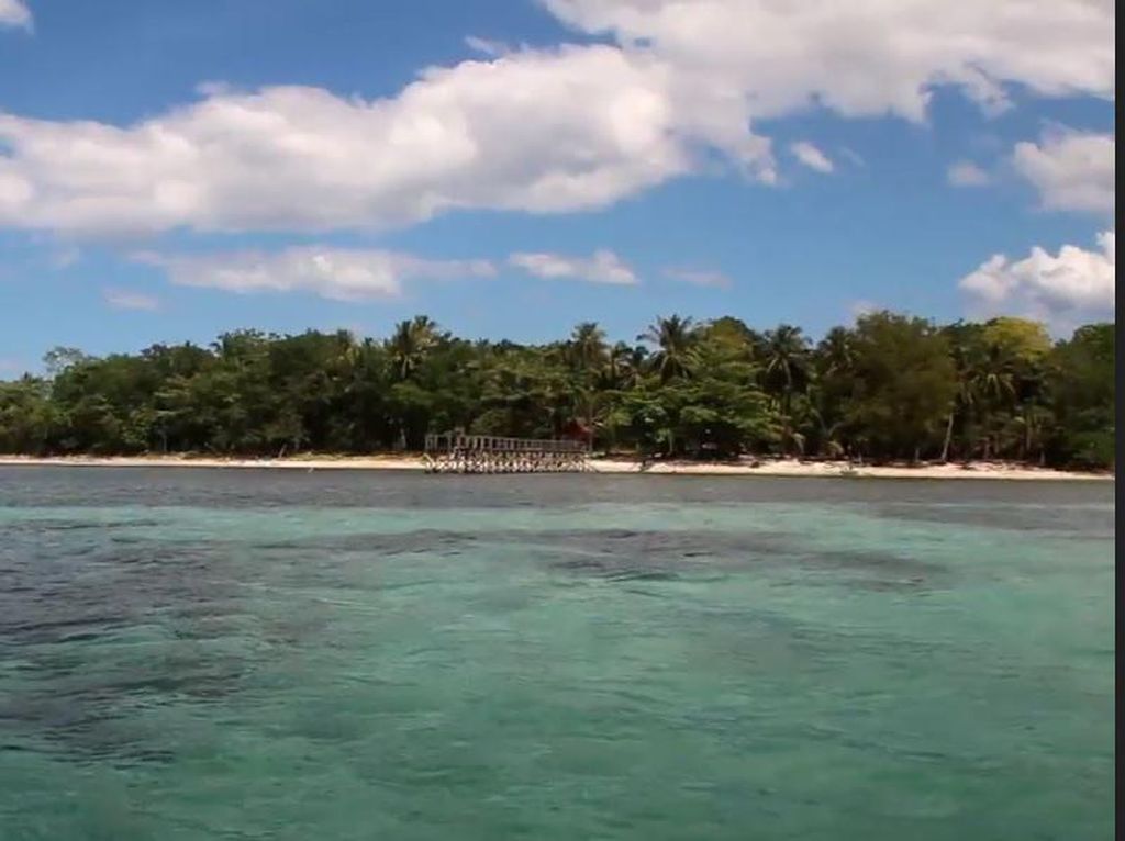 Pulau Bakki, Surga Bahari dan Ragam Tanaman Mangrove di Sulawesi Pulau Bakki, Surga Bahari dan Ragam Tanaman Mangrove di Sulawesi